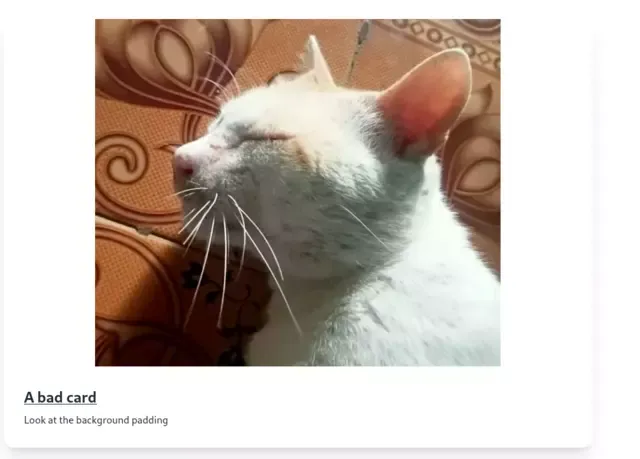 An image that shows an image with white spaces surrounding it.